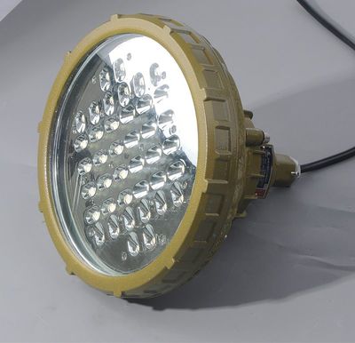 【壁裝加油站LED防爆燈 60W吸頂式加油站棚頂燈 100wLED墻壁掛式防爆燈】價格_廠家 - 中國供應商